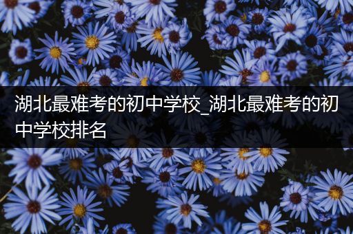 湖北最难考的初中学校_湖北最难考的初中学校排名