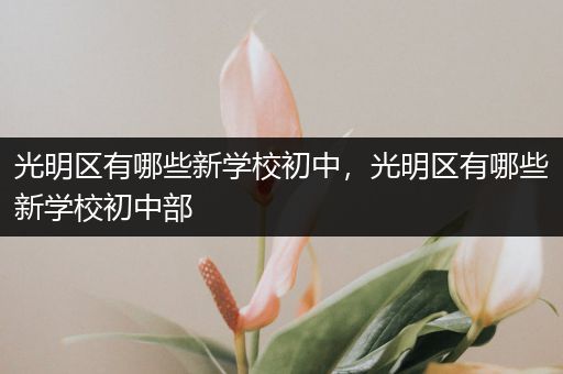 光明区有哪些新学校初中，光明区有哪些新学校初中部