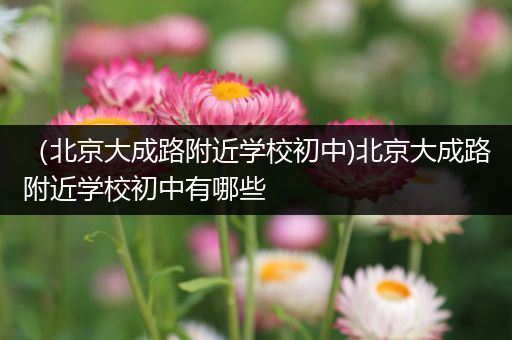 （北京大成路附近学校初中)北京大成路附近学校初中有哪些
