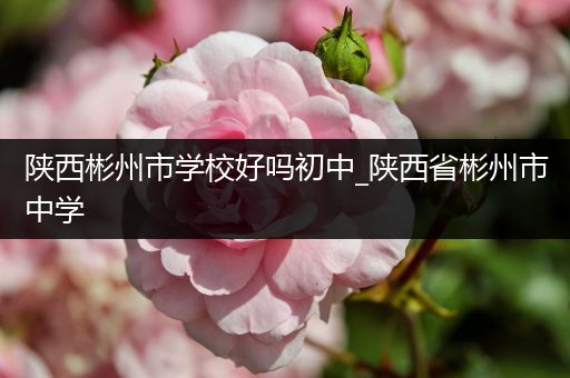 陕西彬州市学校好吗初中_陕西省彬州市中学