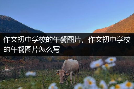 作文初中学校的午餐图片，作文初中学校的午餐图片怎么写