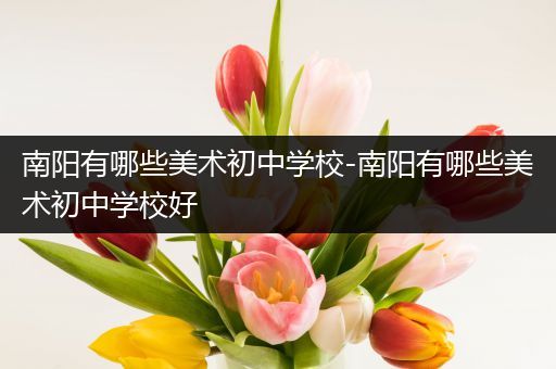 南阳有哪些美术初中学校-南阳有哪些美术初中学校好