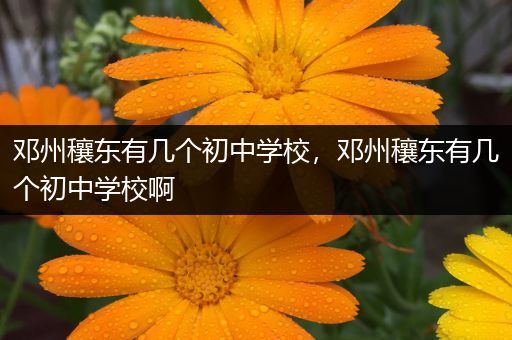 邓州穰东有几个初中学校，邓州穰东有几个初中学校啊