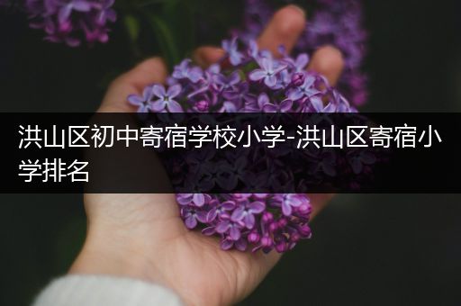 洪山区初中寄宿学校小学-洪山区寄宿小学排名