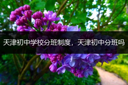 天津初中学校分班制度，天津初中分班吗