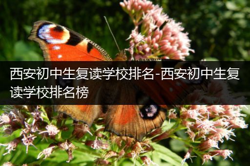 西安初中生复读学校排名-西安初中生复读学校排名榜