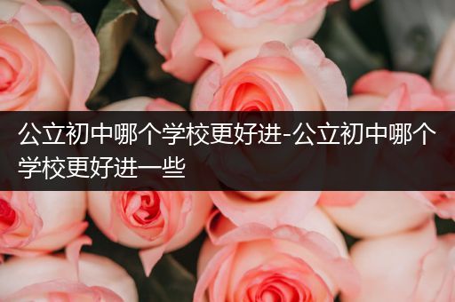 公立初中哪个学校更好进-公立初中哪个学校更好进一些