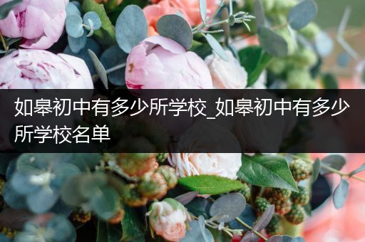 如皋初中有多少所学校_如皋初中有多少所学校名单
