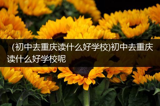 （初中去重庆读什么好学校)初中去重庆读什么好学校呢