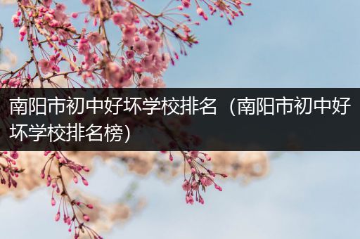 南阳市初中好坏学校排名（南阳市初中好坏学校排名榜）