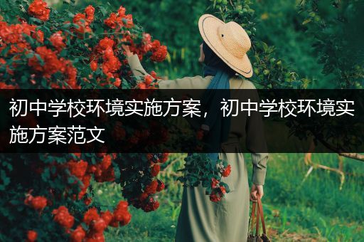 初中学校环境实施方案，初中学校环境实施方案范文