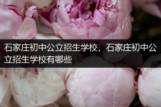 石家庄初中公立招生学校，石家庄初中公立招生学校有哪些