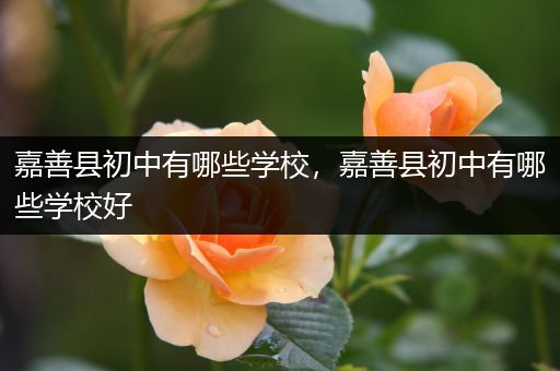 嘉善县初中有哪些学校，嘉善县初中有哪些学校好