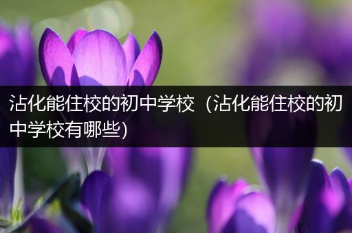 沾化能住校的初中学校（沾化能住校的初中学校有哪些）