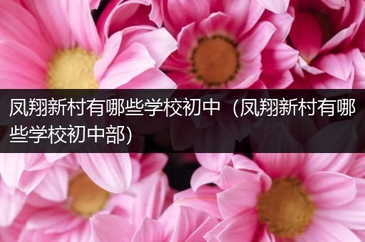 凤翔新村有哪些学校初中（凤翔新村有哪些学校初中部）