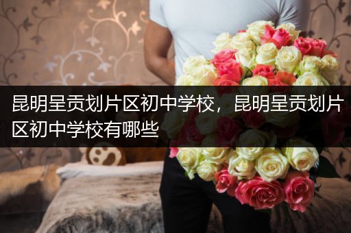 昆明呈贡划片区初中学校，昆明呈贡划片区初中学校有哪些