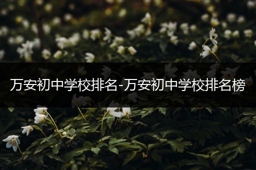 万安初中学校排名-万安初中学校排名榜