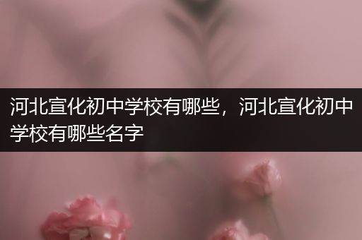 河北宣化初中学校有哪些，河北宣化初中学校有哪些名字