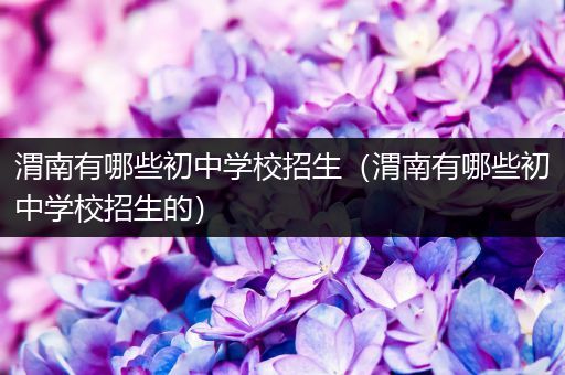 渭南有哪些初中学校招生（渭南有哪些初中学校招生的）