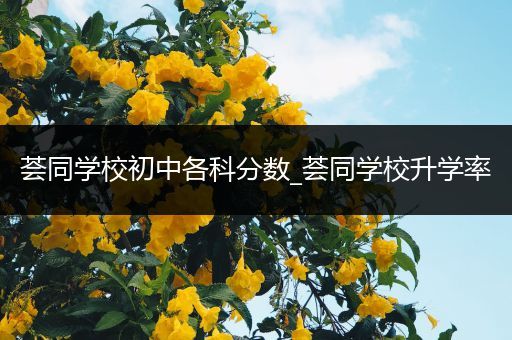 荟同学校初中各科分数_荟同学校升学率