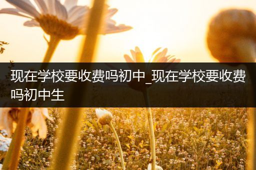 现在学校要收费吗初中_现在学校要收费吗初中生