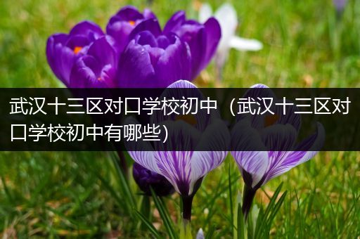 武汉十三区对口学校初中（武汉十三区对口学校初中有哪些）