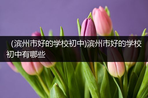 （滨州市好的学校初中)滨州市好的学校初中有哪些