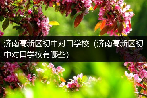 济南高新区初中对口学校（济南高新区初中对口学校有哪些）