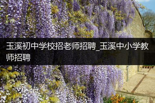 玉溪初中学校招老师招聘_玉溪中小学教师招聘