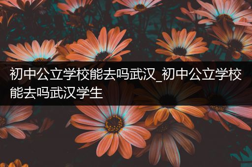 初中公立学校能去吗武汉_初中公立学校能去吗武汉学生