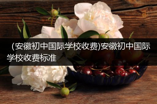 （安徽初中国际学校收费)安徽初中国际学校收费标准
