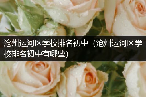 沧州运河区学校排名初中（沧州运河区学校排名初中有哪些）