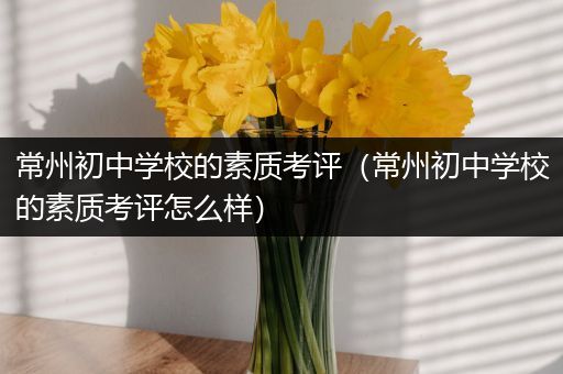 常州初中学校的素质考评（常州初中学校的素质考评怎么样）