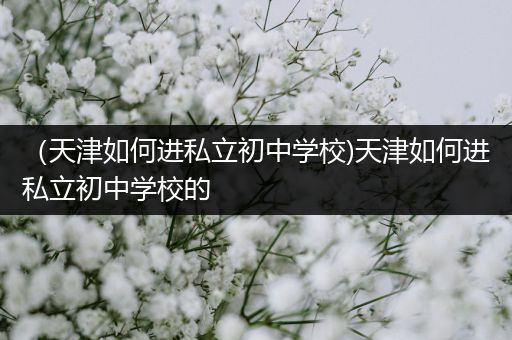 （天津如何进私立初中学校)天津如何进私立初中学校的