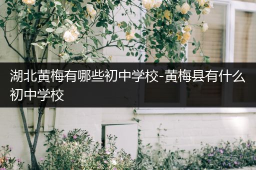 湖北黄梅有哪些初中学校-黄梅县有什么初中学校