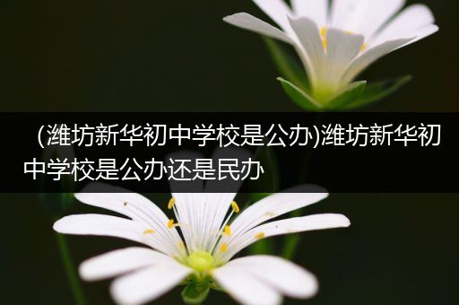 （潍坊新华初中学校是公办)潍坊新华初中学校是公办还是民办