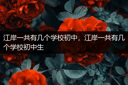 江岸一共有几个学校初中，江岸一共有几个学校初中生