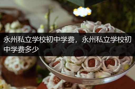 永州私立学校初中学费，永州私立学校初中学费多少