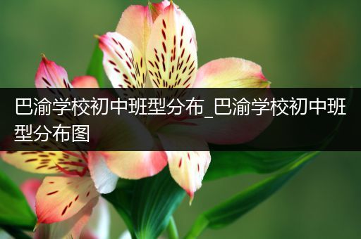 巴渝学校初中班型分布_巴渝学校初中班型分布图