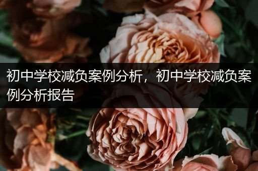 初中学校减负案例分析，初中学校减负案例分析报告