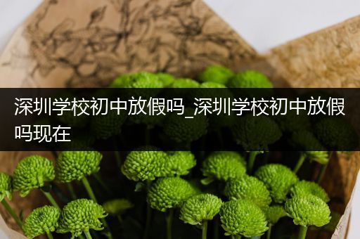 深圳学校初中放假吗_深圳学校初中放假吗现在