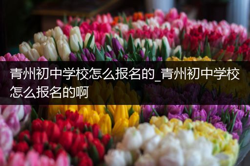 青州初中学校怎么报名的_青州初中学校怎么报名的啊