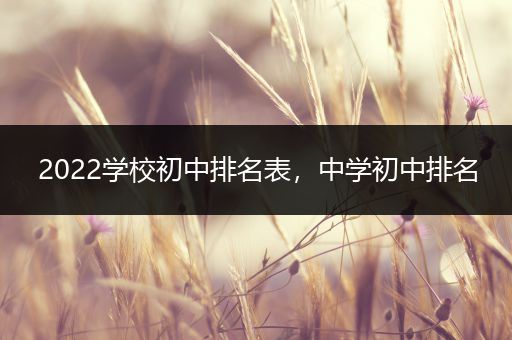 2022学校初中排名表，中学初中排名