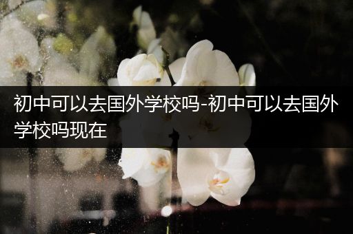 初中可以去国外学校吗-初中可以去国外学校吗现在