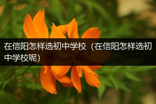 在信阳怎样选初中学校（在信阳怎样选初中学校呢）