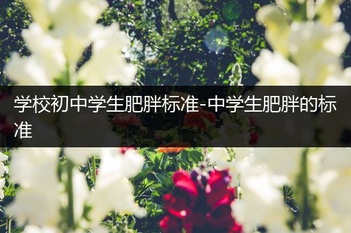 学校初中学生肥胖标准-中学生肥胖的标准