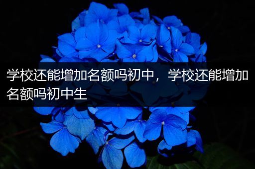 学校还能增加名额吗初中，学校还能增加名额吗初中生