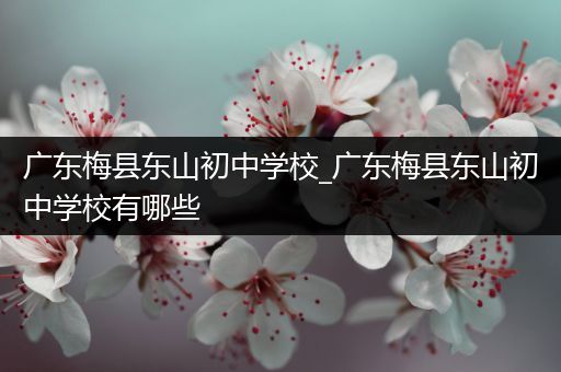 广东梅县东山初中学校_广东梅县东山初中学校有哪些