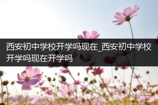 西安初中学校开学吗现在_西安初中学校开学吗现在开学吗