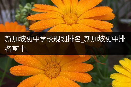 新加坡初中学校规划排名_新加坡初中排名前十